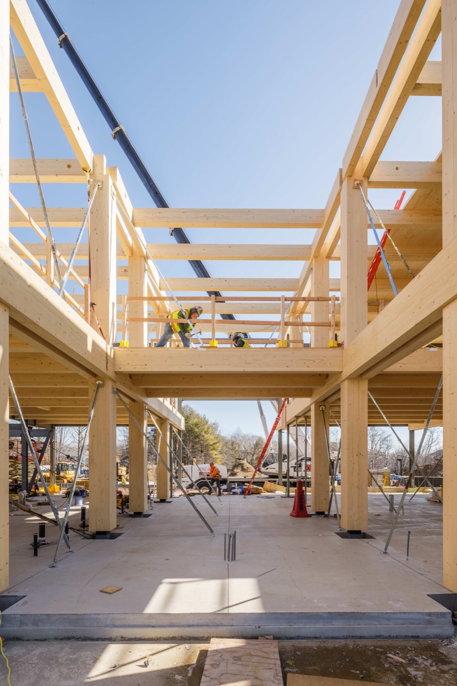 Bruce Springsteen Center for American Music — Structure